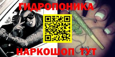 2c-b Обь